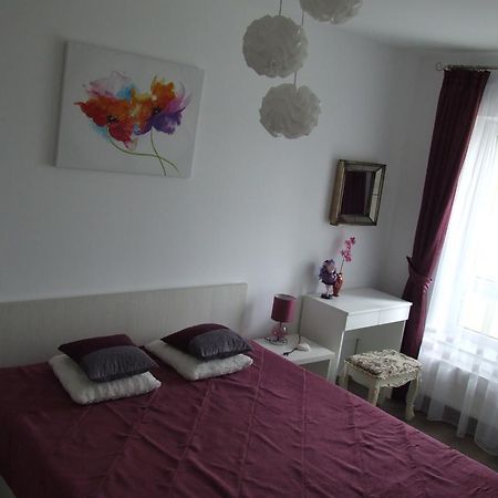 בראשוב Anca Apartment מראה חיצוני תמונה