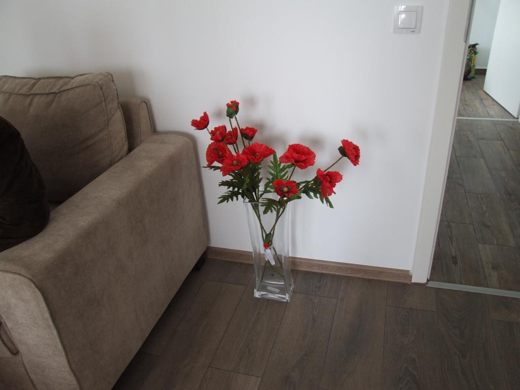 בראשוב Anca Apartment מראה חיצוני תמונה