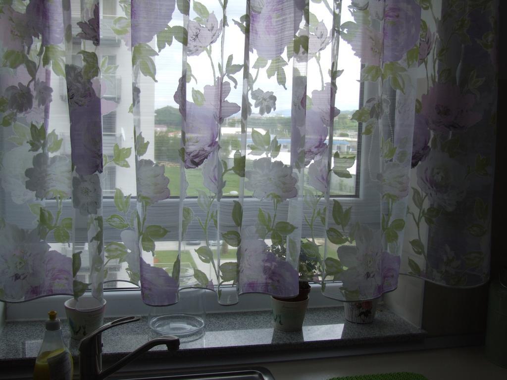 בראשוב Anca Apartment מראה חיצוני תמונה