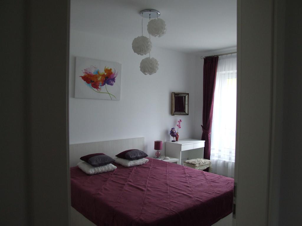 בראשוב Anca Apartment מראה חיצוני תמונה