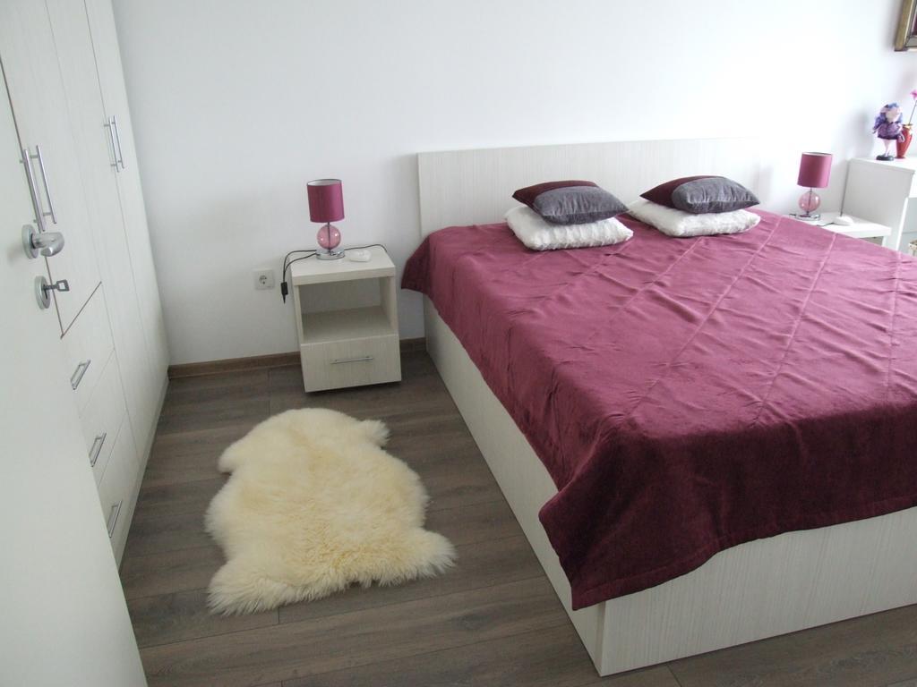 בראשוב Anca Apartment מראה חיצוני תמונה