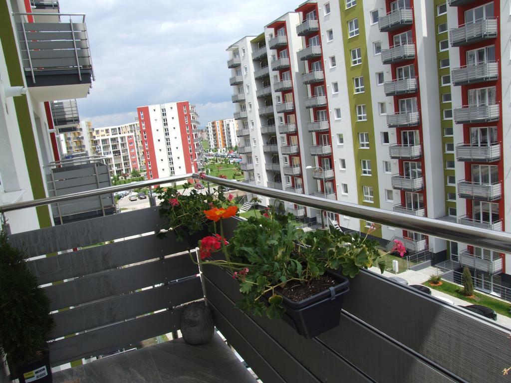 בראשוב Anca Apartment מראה חיצוני תמונה